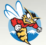 Honey Stinger logo-1