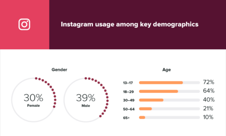 Instagram Usage Among Key Demographics