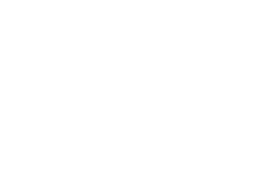 Redguard Logo