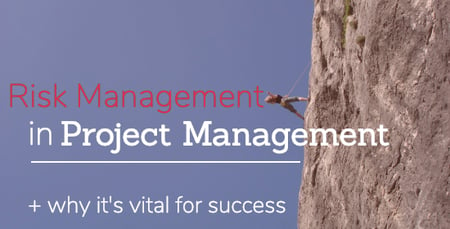 risk management in project management